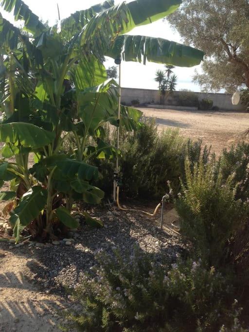House By The Sea At Skaloma, Loutraki Villa วูลิอักเมนิเลค ภายนอก รูปภาพ