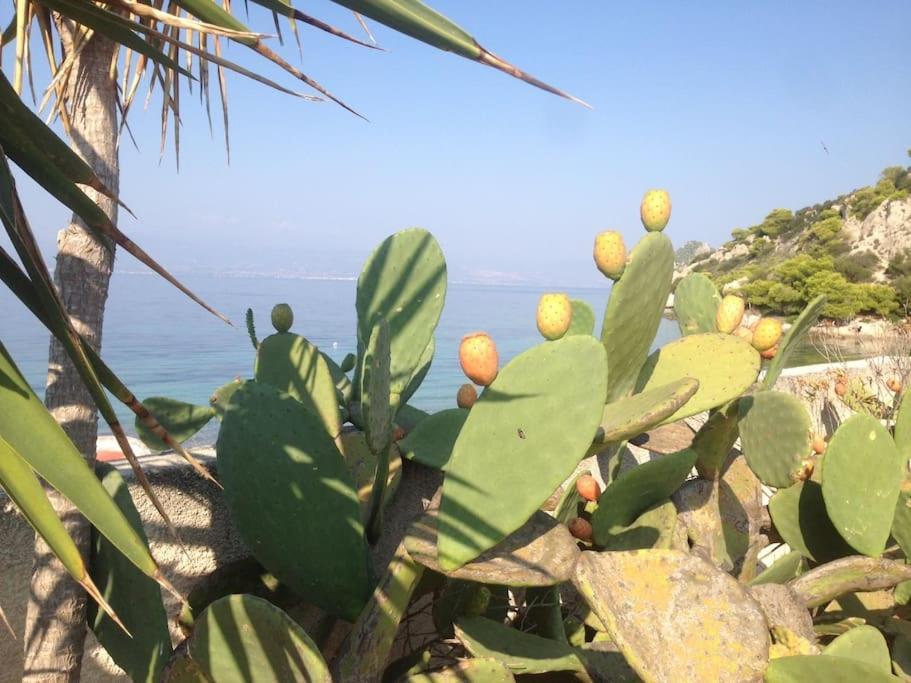 House By The Sea At Skaloma, Loutraki Villa วูลิอักเมนิเลค ภายนอก รูปภาพ